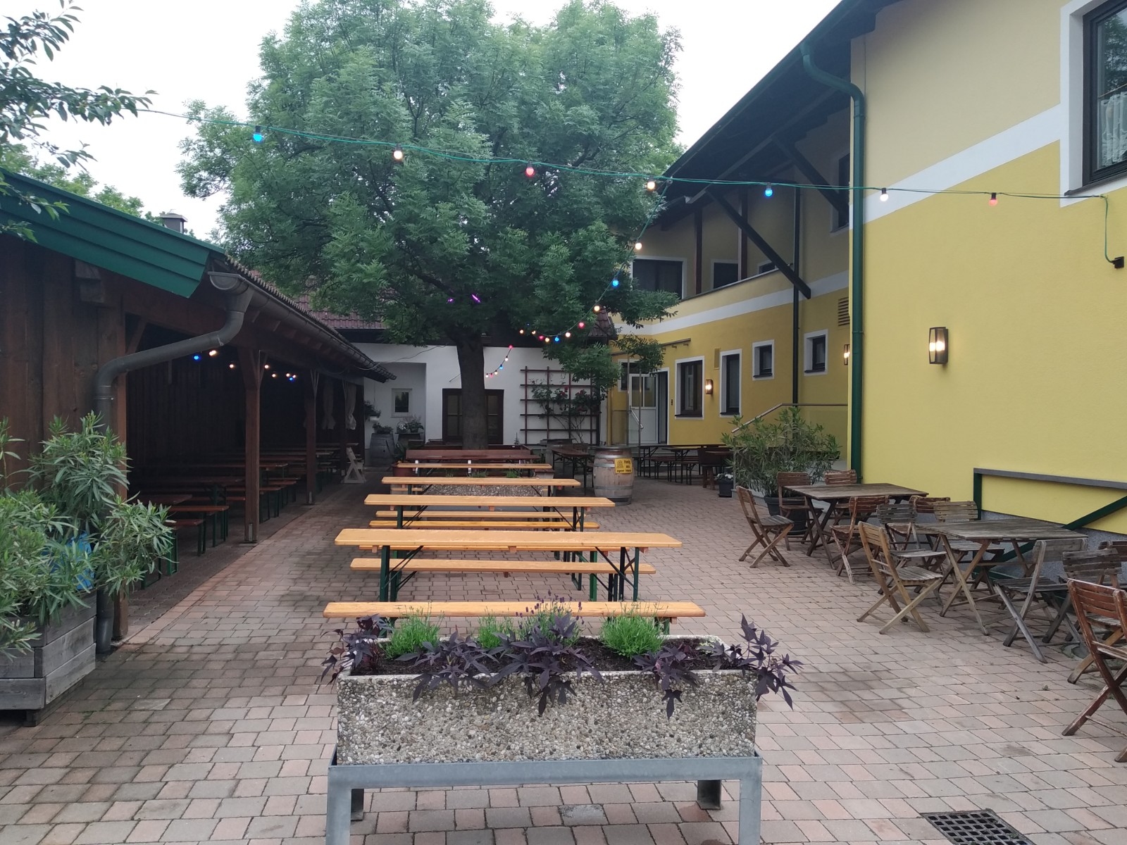 Weinbau Riegler-Dorner